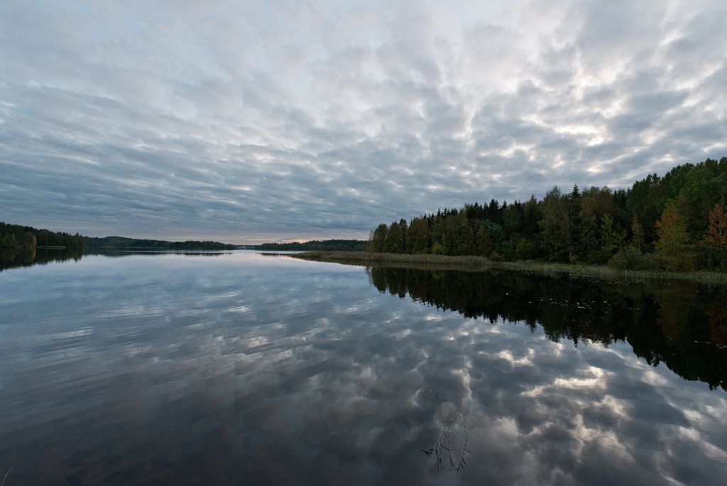 Suomen Ranta Rantarakentaminen – Mikkeli