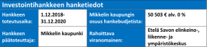 Taulukko, jossa investointihjankkeen tiedot
