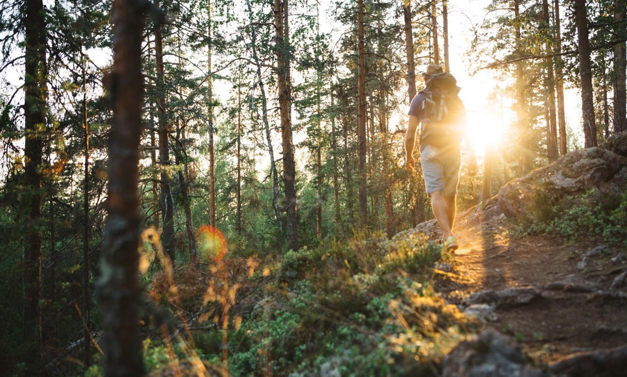 Mies kävelee metsässä, taustalla aurinko.