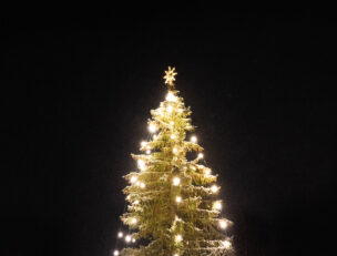Joulukuusi.