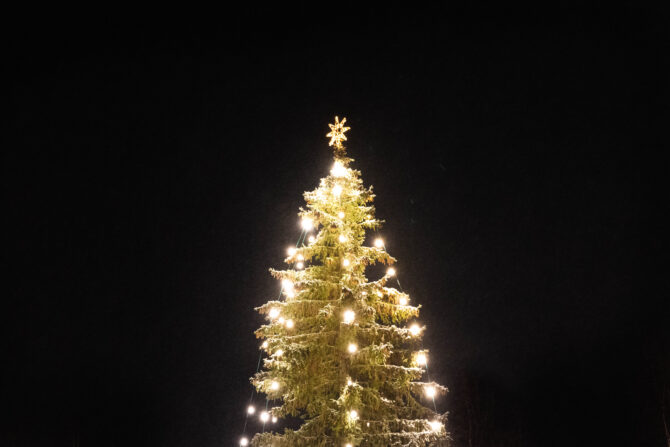Joulukuusi.
