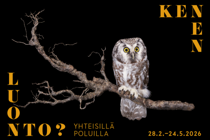 Kenen luonto -näyttelyn kuva