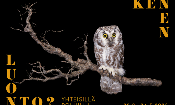 Kenen luonto -näyttelyn kuva