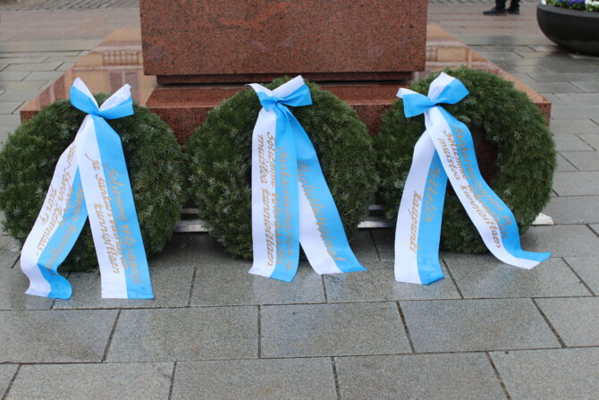 Kuvituskuva veteraanipäivä