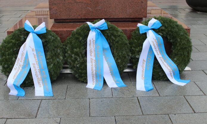 Kuvituskuva veteraanipäivä