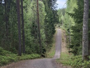 Lenkkipolku.