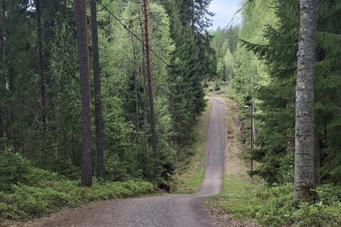 Lenkkipolku.