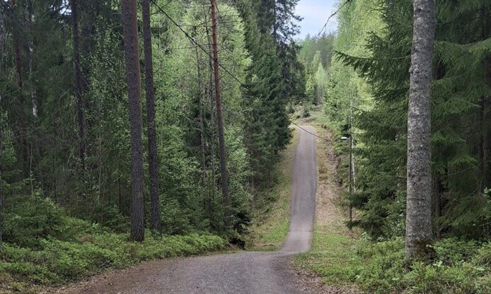 Lenkkipolku.